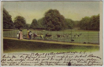 AK Hamburg-Blankenese Dockenhuden Im Hirschpark 1903