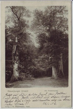 AK Neuenburg (Friesland) Neuenburger Urwald Am Amalienplatz Zetel 1902