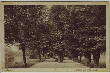 AK Jena Alleen im Paradies 1917