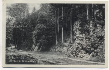 VERKAUFT !!!   AK Foto Körnbachtal bei Geraberg Elgersburg 1936