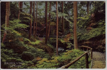 AK Waldeck (Thüringen) Die Buchen bei Bad Klosterlausnitz 1910