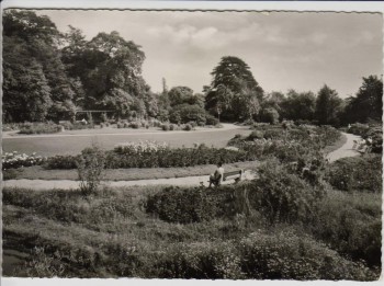 AK Foto Witten an der Ruhr Partie im Stadtpark 1964