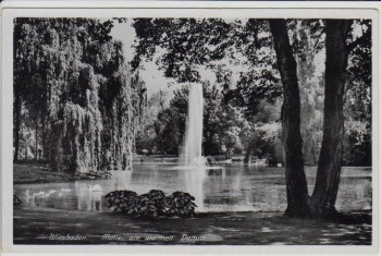 AK Wiesbaden Motiv am warmen Damm 1930