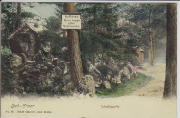 AK Bad Elster Waldquelle 1907