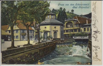 AK Gruss aus dem Schwarzwald Bad Peterstal Ortsansicht 1905