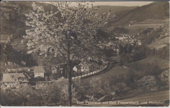 AK Foto Bad Peterstal mit Bad Freyersbach und Hirzighof 1941