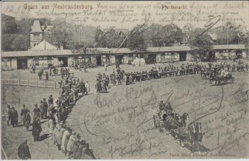 VERKAUFT !!! AK Gruss aus Neubrandenburg Blick auf den Pferdemarkt viele Menschen Sonderstempel 1905 RAR VERKAUFT !!! AK Gruss aus Neubrandenburg Blick auf den Pferdemarkt viele Menschen Sonderstempel 1905 RAR