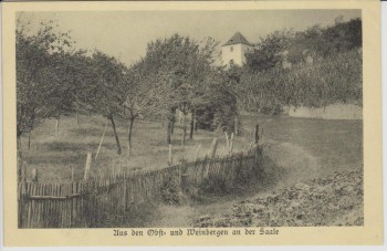 VERKAUFT !!!   AK Bund Heimatschutz Halle an der Saale Aus den Obst- und Weinbergen 1913
