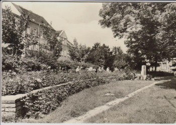 AK Foto Roßlau (Elbe) Anlagen am Ernst-Thälmann-Platz 1976