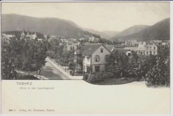 AK Tabarz in Thüringen Blick in den Lauchagrund 1900