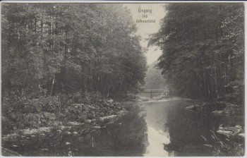 AK Eingang ins Schwarzatal nit Brücke bei Schwarzburg Bad Blankenburg 1908