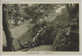 AK Sonneberg in Thüringen Ringleinsbrunnen 1910