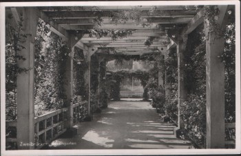 AK Zweibrücken Rosengarten 1953