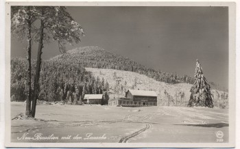 VERKAUFT !!!   AK Foto Gaststätte Neubrasilien Neu-Brasilien mit der Lausche im Winter Niederlichtenwalde Dolní Světlá b. Großmergthal Mařenice Sudetengau Tschechien 1935 RAR