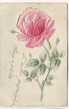 Präge-AK Rote Rose 1908