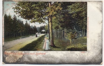 AK Naunhof Waldpartie nach Lindhardt mit Frauen Soldatenkarte 1910