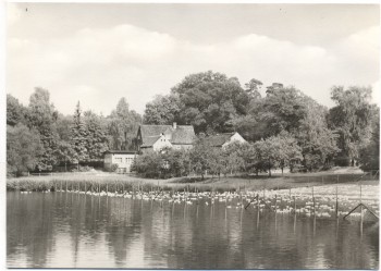 AK Foto Dahlener Heide Gasthof Reudnitz b. Cavertitz 1979