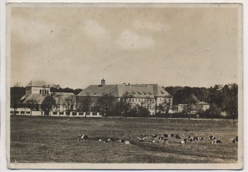 VERKAUFT !!!   AK Foto Heyrothsberge Feuerwehrschule der Provinz Sachsen mit Kühen b. Biederitz 1938