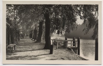 AK Foto Königs Wusterhausen Uferpromenade Neue Mühle 1955