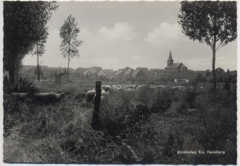 VERKAUFT !!!   AK Kirchhoven Ortsansicht mit Schafherde b. Heinsberg 1950 RAR