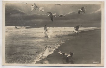 VERKAUFT !!!   AK Foto Deep Küstenlandschaft mit Möwen Mrzeżyno b. Greifenberg Gryfice Briefstempel Schießstab Flakbrigade VIII. Pommern Polen Feldpost 1941