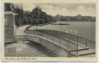 VERKAUFT !!!   AK Merseburg Am Gotthardt-Teich mit Schwänen 1937