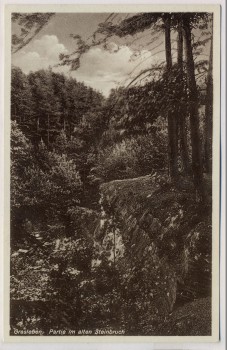 AK Grasleben Partie im alten Steinbruch b. Helmstedt 1930 RAR
