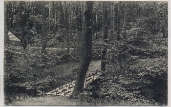 AK Grasleben Wald-Sanatorium Wald Idyll aus dem Park b. Helmstedt 1921 RAR