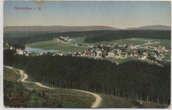 AK Hahnenklee im Harz Ortsansicht b. Goslar 1910