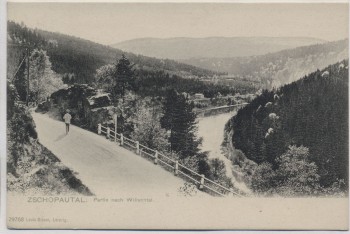 AK Zschopautal Partie nach Wilischthal b. Zschopau 1910