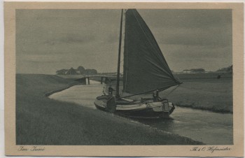 Künstler-AK Th. u. O. Hofmeister Im Juni Heimatkarte 482 Naturaufnahme 1920