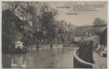 AK Bad Lippspringe Lippequelle 1907