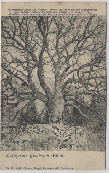 AK Luftkurort Gerolstein Eifel Gerolsteiner Linde 1900