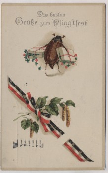 AK Die besten Grüße zum Pfingstfest Patriotika Käfer Deutschland Schleife Feldpost 1916