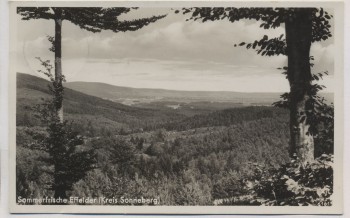 AK Foto Sommerfrische Effelder Kreis Sonneberg Talansicht 1939