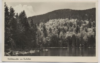 AK Foto Rachelsee mit Rachel Waldzauber b. Sankt Oswald-Riedlhütte 1938