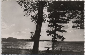 AK Foto Bellin am Selenter See Abendstimmung b. Lütjenburg Ostholstein 1959