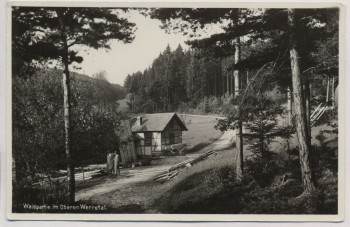 VERKAUFT !!!   AK Foto Dittersdorf (Saalfelder Höhe) Waldpartie im Oberen Werretal b. Schwarzburg Bad Blankenburg 1956