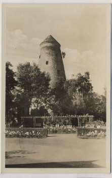AK Foto Schönebeck-Salzelmen Rosengarten 1954