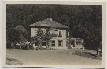 AK Foto Netzkater im Harz b. Harztor Ilfeld 1956
