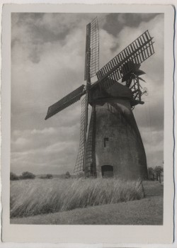 AK Foto Echte Schneider Photokarte Aufnahme R. Hallensleben Windmühle 1940