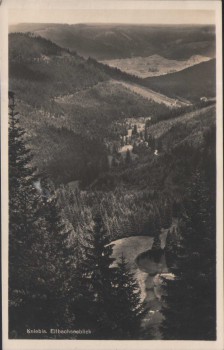 AK Kniebis Ellbachseeblick b. Freudenstadt 1930