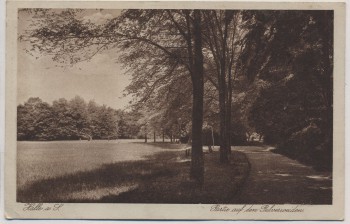 AK Halle an der Saale Partie auf den Pulverweiden 1926