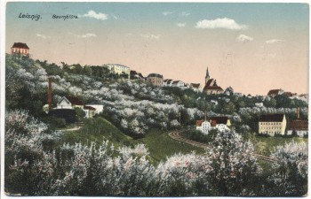 AK Leisnig Sachsen Baumblüte Bahnpoststempel 1925