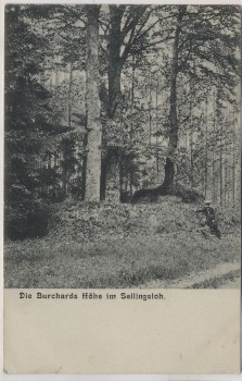 VERKAUFT !!!   AK Sellingsloh Die Burchards Höhe b. Hoyerhagen Hoya 1911