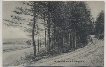 VERKAUFT !!!   AK Partie aus dem Sellingsloh b. Hoyerhagen Hoya 1910