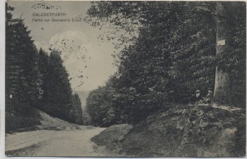AK Salzdetfurth Partie bei Baxmann's Eiche 1913