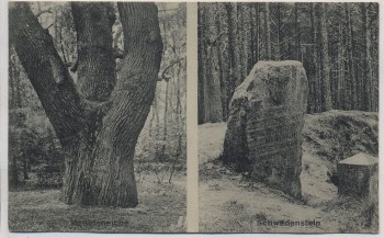 AK Drübberholz b. Eystrup Mathildeneiche Schwedenstein b. Hoya Dörverden 1923