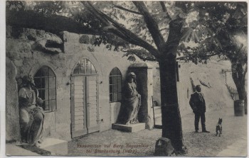 AK Blankenburg Harz Kasematten auf Burg Regenstein Mann mit Hund 1914