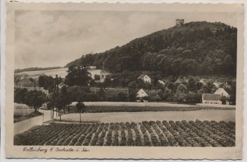 AK Foto Collmberg b. Oschatz Collm Feldpost 1942